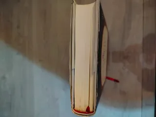 Todo bajo el cielo