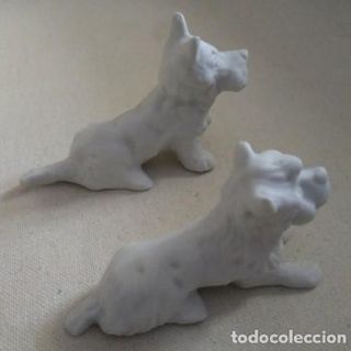 Pareja Perros Porcelana Blanca Biscuit
