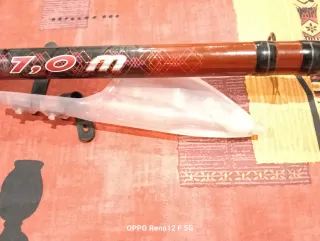 Cañas de pesca mojarra