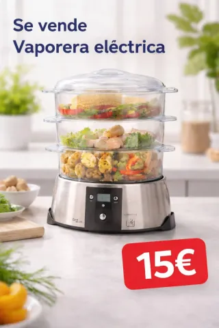 Vaporera eléctrica 15€