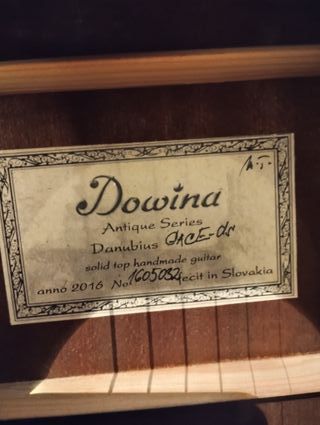 Guitarra acústica Dowina GACE Danubius. L.R.Baggs