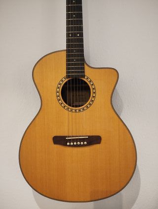 Guitarra acústica Dowina GACE Danubius. L.R.Baggs