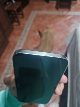 iPhone 15 Pro Max 256GB Argento