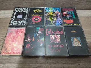 Lote 31 Cintas Metal para Adolfo