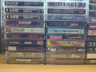 Lote 31 Cintas Metal para Adolfo