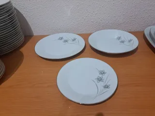 Vajilla Santa Clara porcelana flores