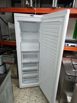 Congelador vertical 5 cajones