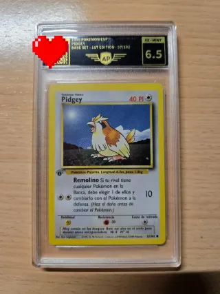 Carta Pokémon Pidgey Base Set 1st Edition