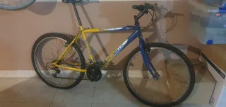 Bicicleta Vintage Banco Correos