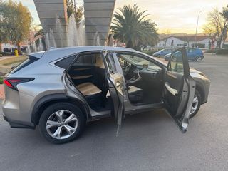 Lexus NX 300 luxury titanio y beige