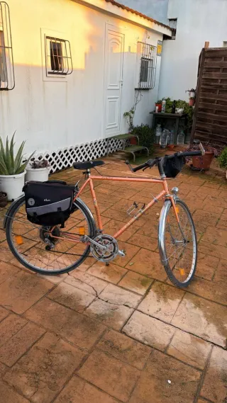 Bicicleta Vintage con pintura original