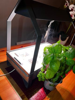 mini serra per piante aromatiche o insalate