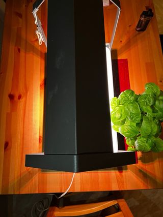 mini serra per piante aromatiche o insalate