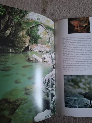 Libros Naturaleza de Asturias y Ríos de Asturias