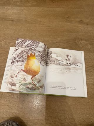 What Do You Do with an Idea?