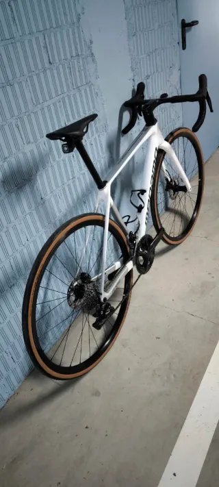 Megamo Raise carbono