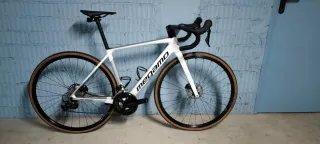 Megamo Raise carbono