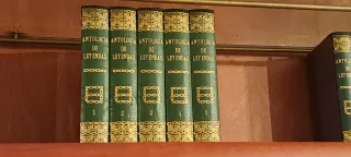 Libros decorativos estilo clásico