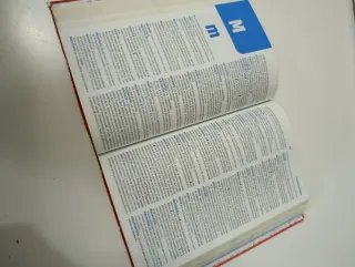 Diccionario Secundaria y Bachillerato. Lengua e...