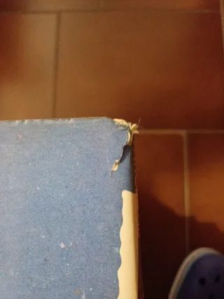 Pancreas: Trapianto del libro Cuore (Italian Ed...