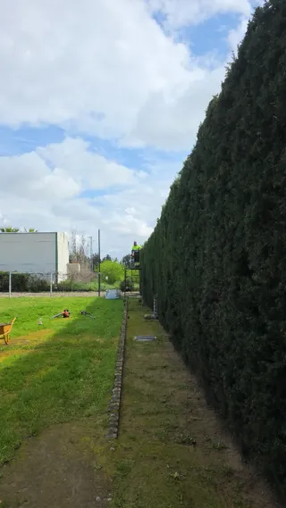 Jardinería en parcelas y fincas