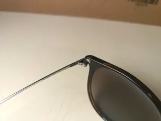 Gafas Ray-Ban Erika Polarized originales