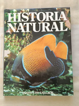 -> Lote Historia natural Botánica, Minerales..