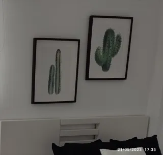 Cuadros de cactus Ikea