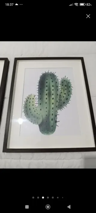 Cuadros de cactus Ikea