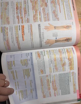 GRAY ANATOMIA PARA ESTUDIANTES