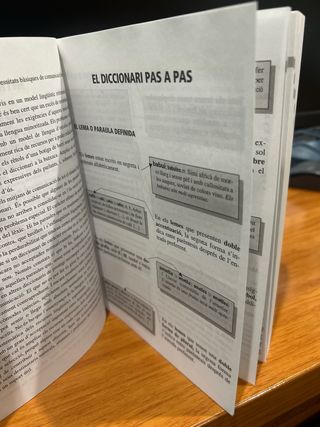 Diccionari bàsic d'ús del valencià