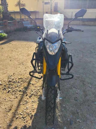 Cyclone RX1 Pro 2025