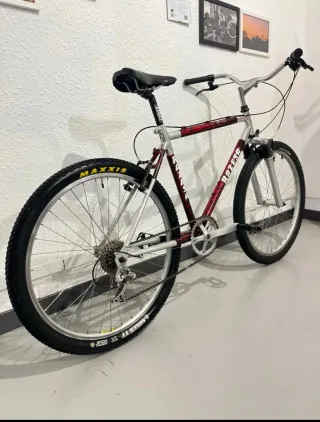 Bicicleta de montaña Razesa