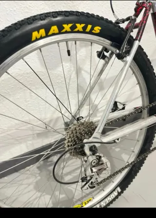 Bicicleta de montaña Razesa