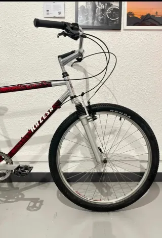 Bicicleta de montaña Razesa