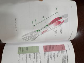 Los puntos y canales de acupuntura. Atlas de ac...