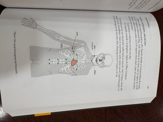 Los puntos y canales de acupuntura. Atlas de ac...