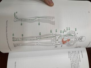 Los puntos y canales de acupuntura. Atlas de ac...