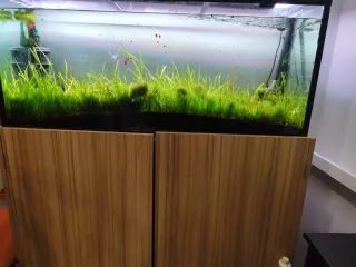Acuario 300L