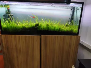 Acuario 300L