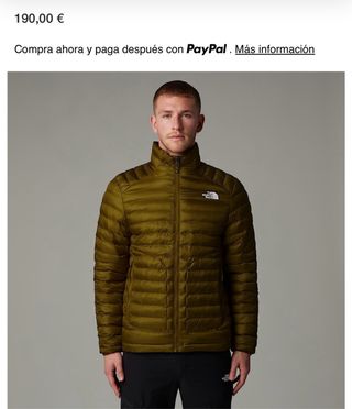 Chaqueta the north face Huila Térmica Sintética