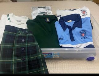 Lote Ropa Colegio: Falda, Polos y Jerseys