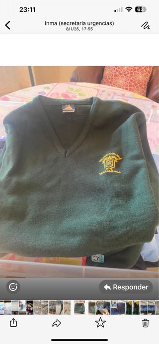 Lote Ropa Colegio: Falda, Polos y Jerseys