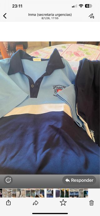 Lote Ropa Colegio: Falda, Polos y Jerseys