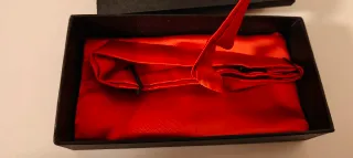 Pajarita roja con pañuelo a juego