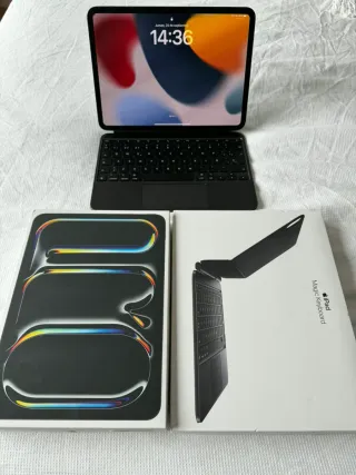 iPad Pro 11 M4 256GB Plata