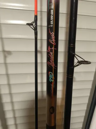 Cañas de pesca mar 2 unidades