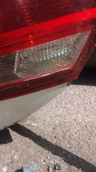 PILOTO TRASERO DERECHO INTERIOR SEAT LEON (5F