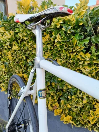 Bicicleta TVT92 Carbono