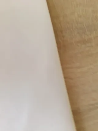 Manual Faxanadu Nintendo NES